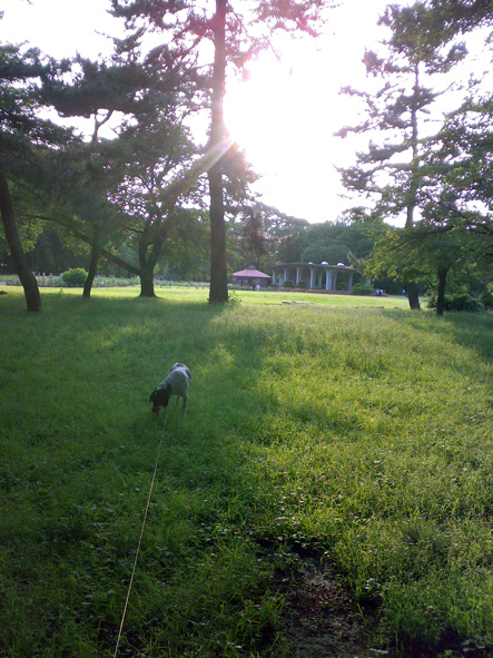 c0123189_1505395.jpg
