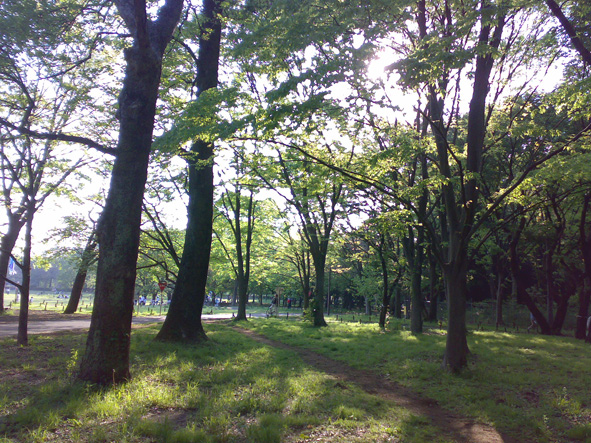c0123189_150611.jpg