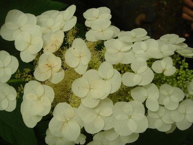 d0125890_20143650.jpg