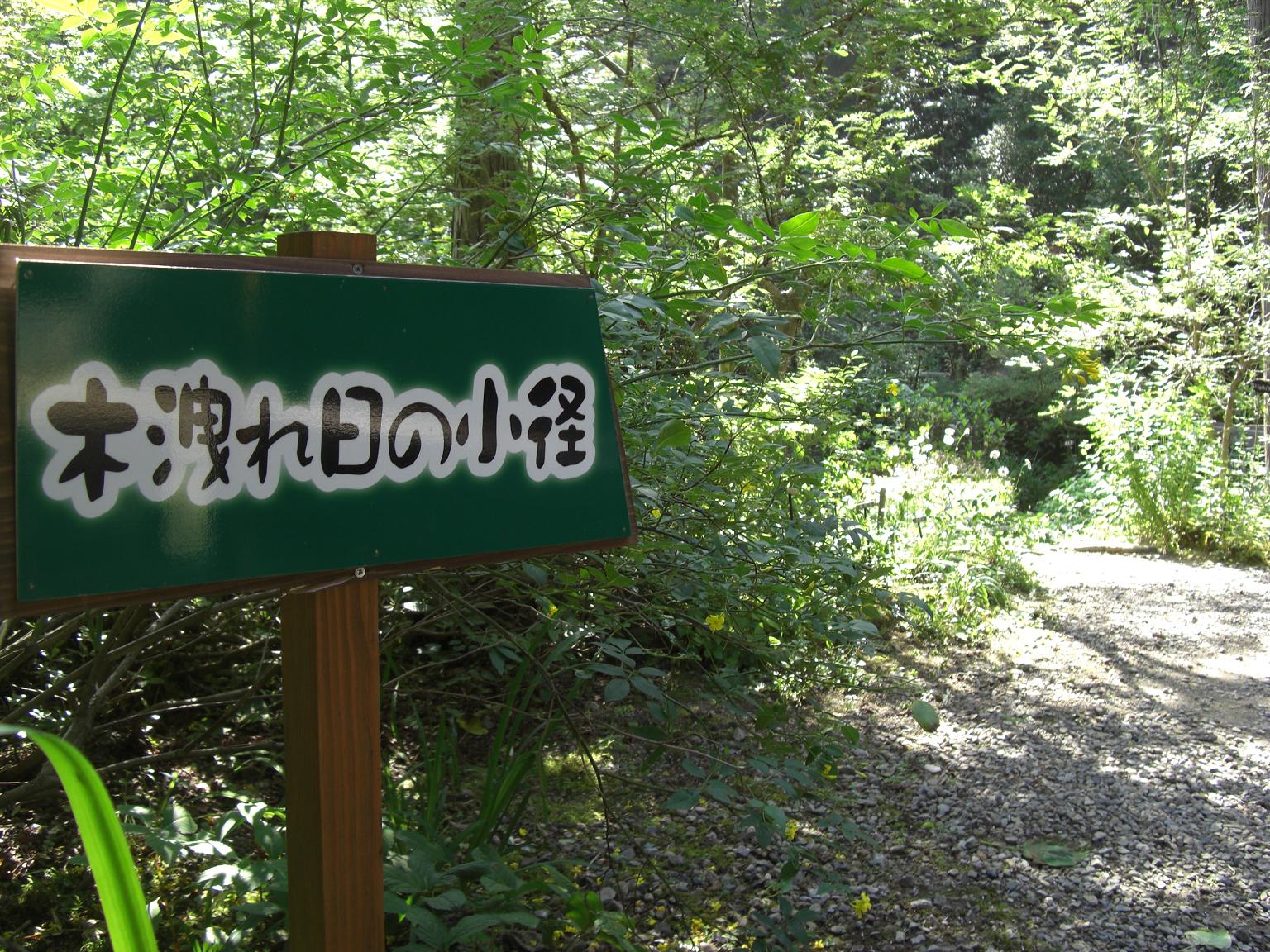 f0131491_14593082.jpg