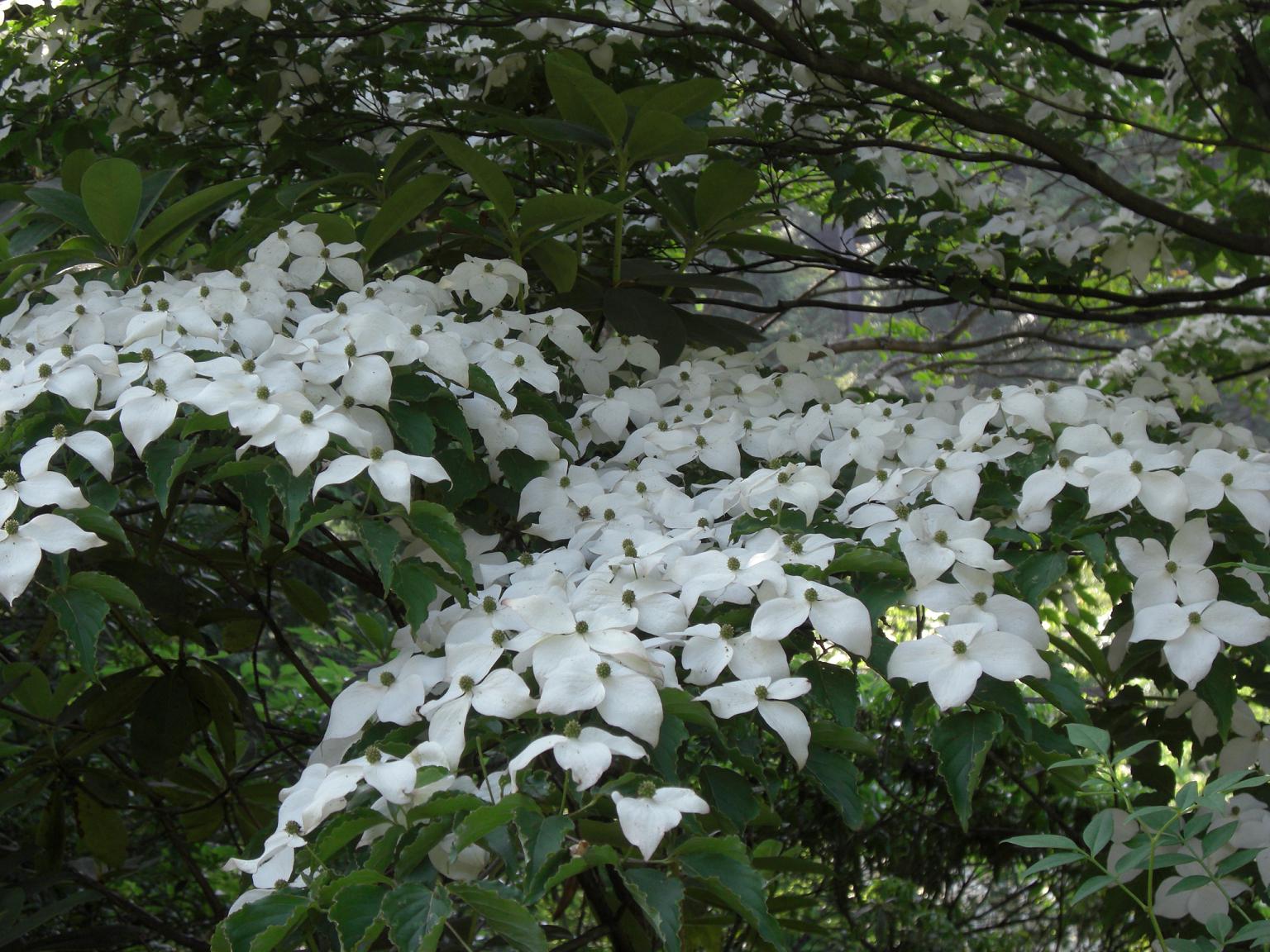 f0131491_1501198.jpg