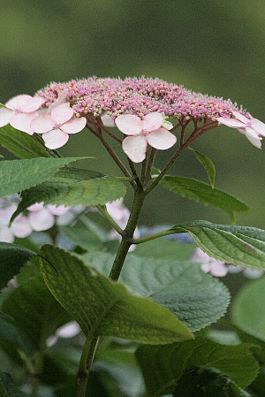 d0133693_22542460.jpg