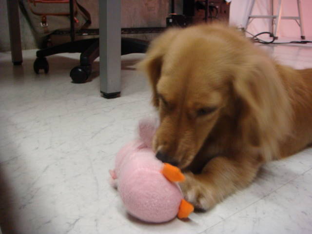 d0098295_22275620.jpg