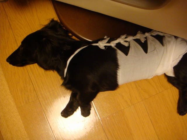 d0098295_22353650.jpg
