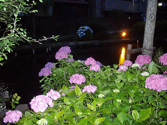 c0138198_752965.jpg