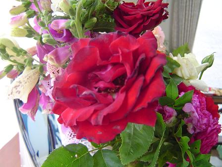 a0114314_1201092.jpg