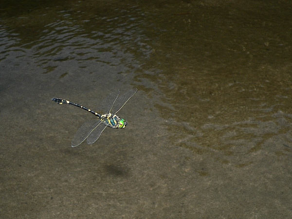 e0002314_23174317.jpg