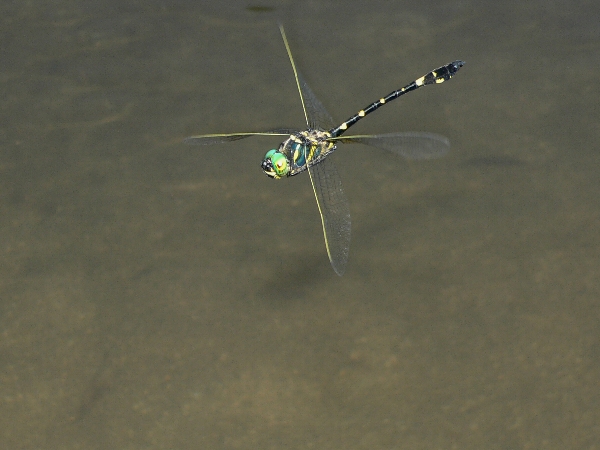 e0002314_23175226.jpg