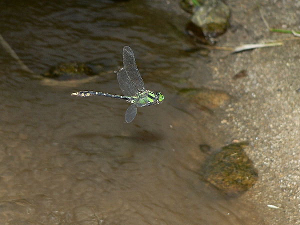 e0002314_2318348.jpg