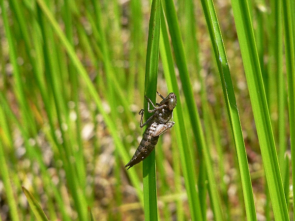 e0002314_235133.jpg