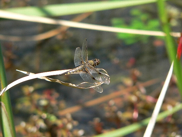 e0002314_2352852.jpg