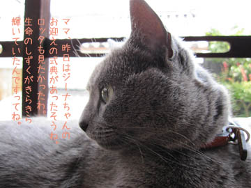 e0156015_13271796.jpg
