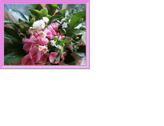 c0072816_2111589.gif