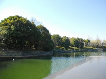 e0119017_13141117.jpg