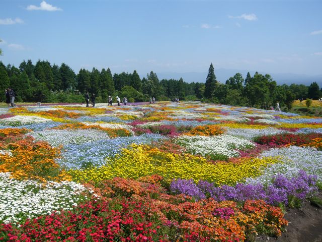 e0111220_2184459.jpg