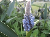 f0139520_21244527.jpg