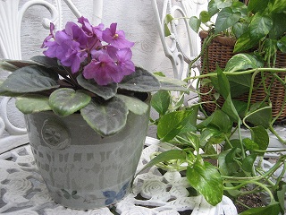 f0139520_21282021.jpg