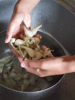 c0025422_12311888.jpg