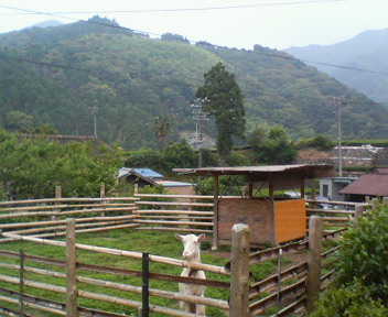 f0036223_954243.jpg