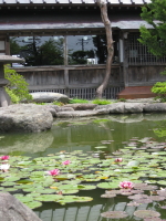 b0147224_12285843.jpg