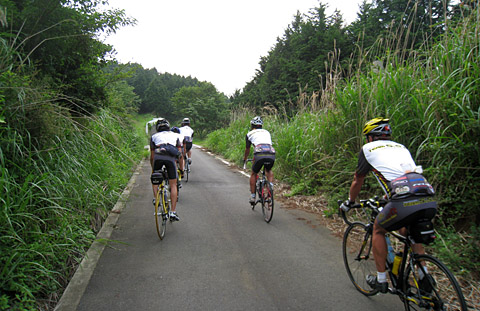 e0089826_2204545.jpg