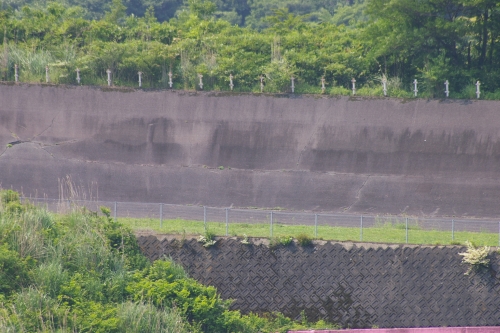 f0065126_2242070.jpg