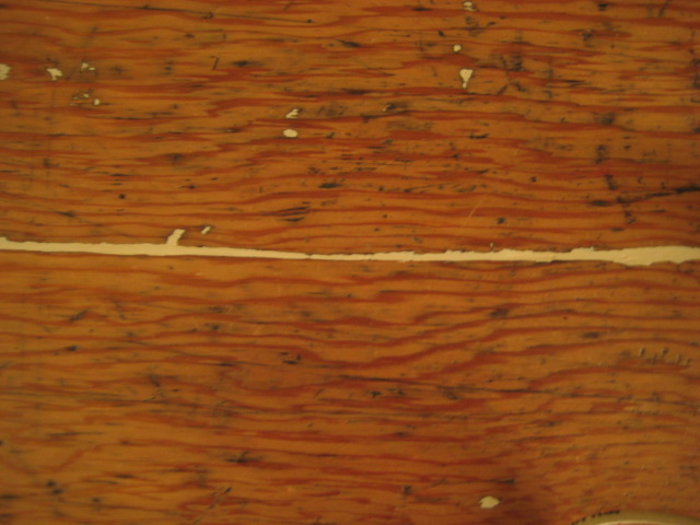 d0147727_2055512.jpg