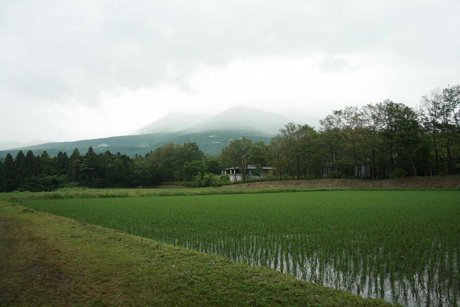 f0178427_13161073.jpg