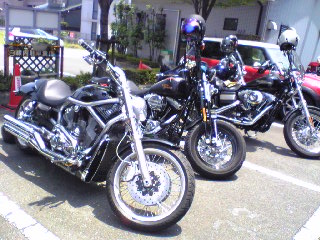 a0099129_2282746.jpg