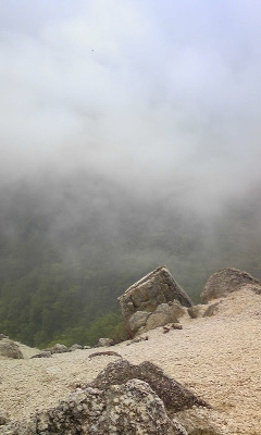 b0077929_1063153.jpg