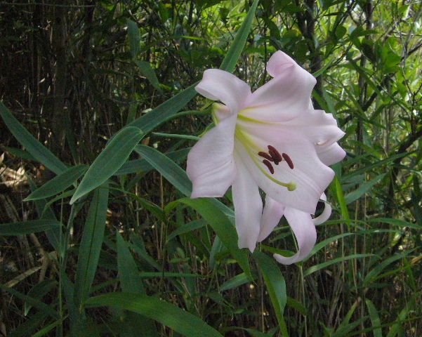 d0075131_23355510.jpg