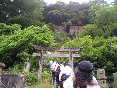 c0165033_15105229.jpg
