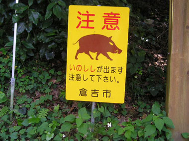 c0165033_15251446.jpg