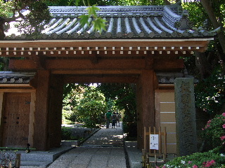b0165236_11541869.jpg