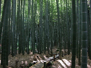 b0165236_12103740.jpg