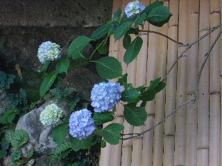 b0165236_12192898.jpg