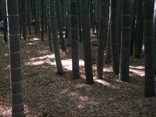 b0165236_1221747.jpg