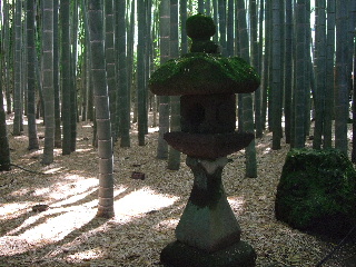 b0165236_1273579.jpg