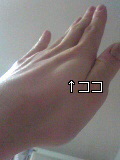 c0023937_1561440.jpg