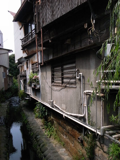a0087341_21585948.jpg