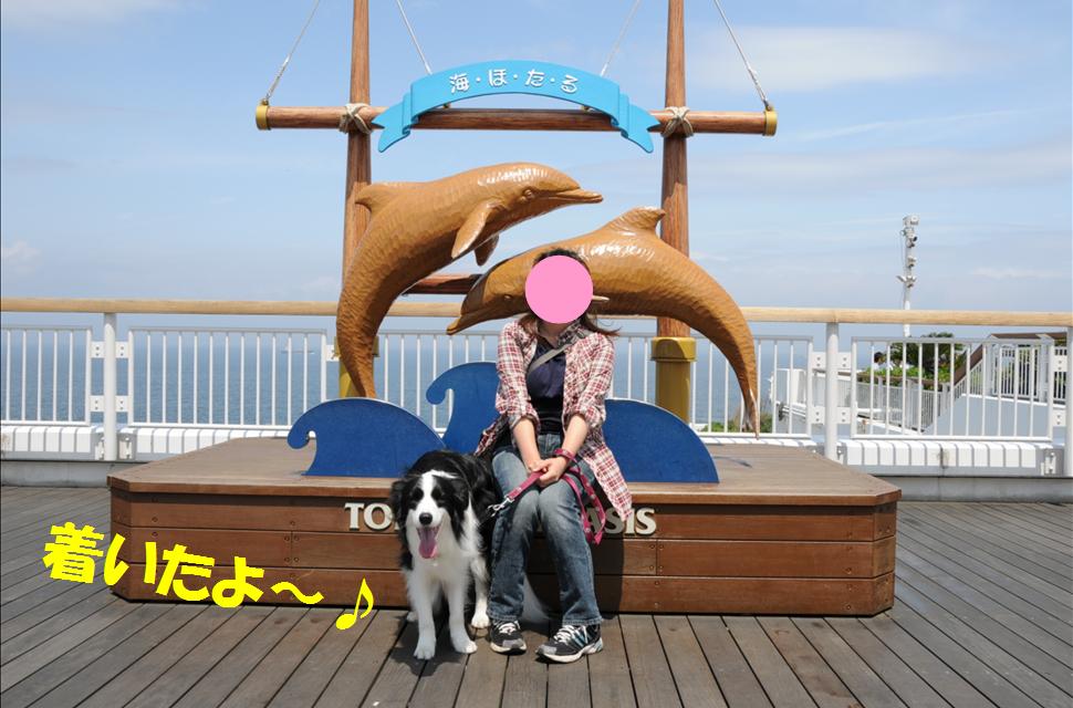 c0147241_2204244.jpg
