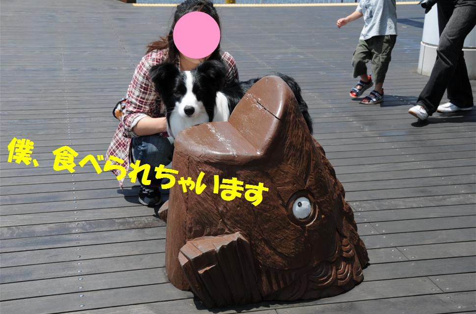 c0147241_2221684.jpg