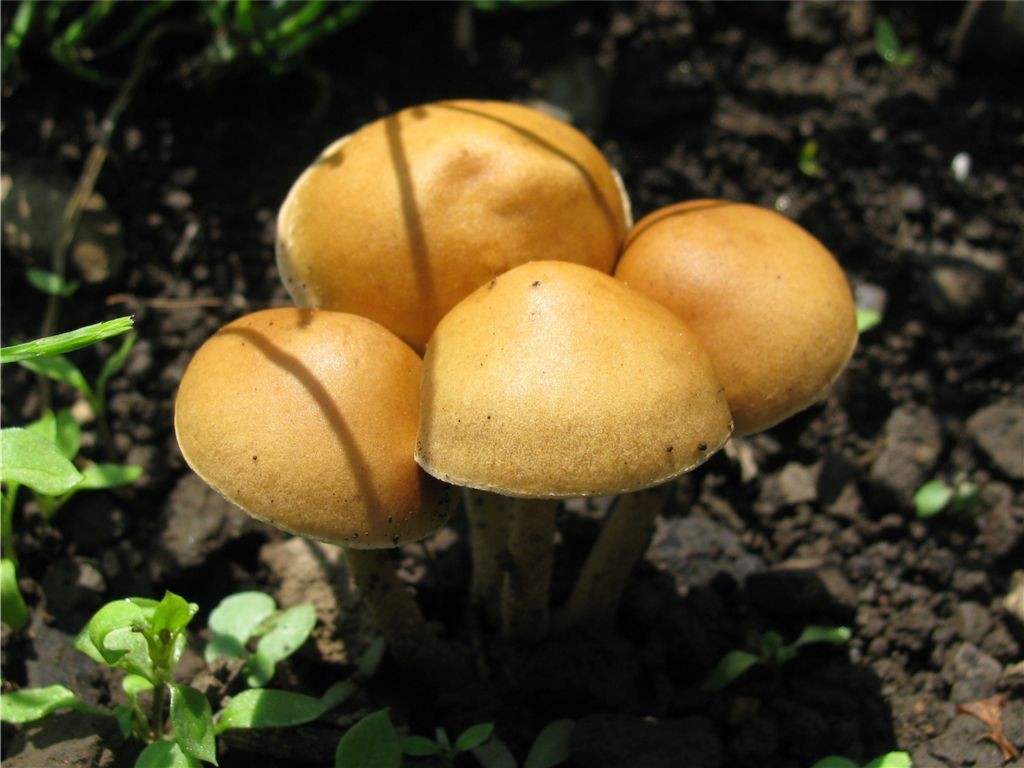 f0151044_63527.jpg