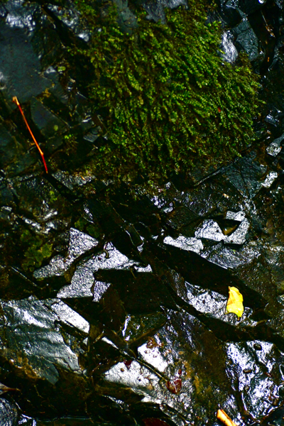 f0156448_12531636.jpg
