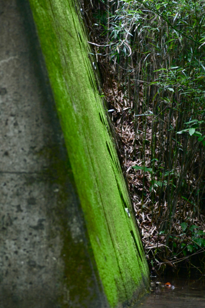 f0156448_12535595.jpg