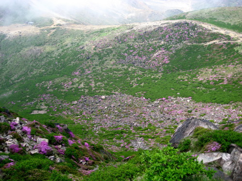 c0179351_16323665.jpg