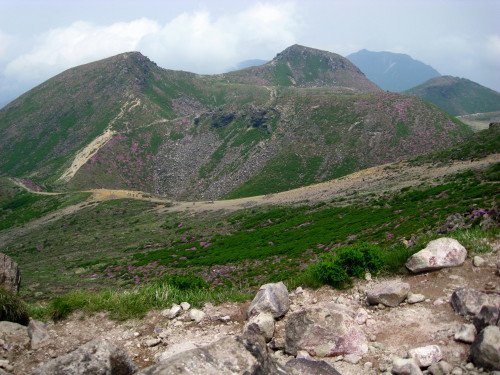 c0179351_1633149.jpg