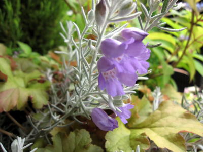 c0147952_21125310.jpg