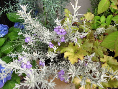 c0147952_2113067.jpg
