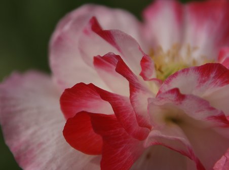 a0039366_00305.jpg